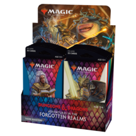 MTG - Adventures in the Forgotten Realms Theme Booster Display (12 Packs) - FR