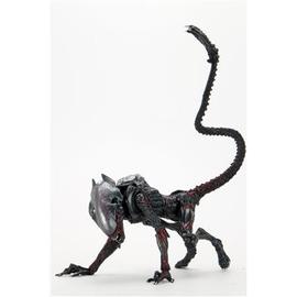 Aliens - 7" Scale Action Figure - Kenner Tribute Night Cougar Alien