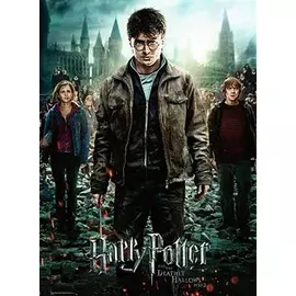 Ravensburger Puzzle Harry Potter 300 pcs