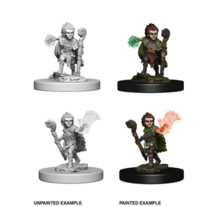Pathfinder Deep Cuts Unpainted Miniatures - Gnome Male Druid (6 Units)